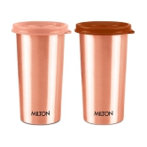 Milton Copper Drinking Water Tumbler with Lid, Set of 2, 480 ml Each, Copper | 100% Leak Proof | Office | Gym | Yoga | Home | Kitchen | Hiking | Treking | Travel Tumbler - Copper