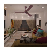 Orpat 1200 BLDC Moneysaver S Ceiling Fan Brown - Brown