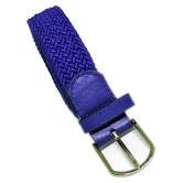 Livisorb - Blue Nylon Men's Casual Belt ( Pack of 1 ) - Free Size