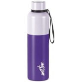 Milton Ancy 1000 Thermosteel Water Bottle, 1.05 Litre, Violet | 24 Hours Hot and Cold | Easy to Carry | Rust Proof | Tea | Coffee | Office| Gym | Home | Kitchen | Hiking | Trekking | Travel 