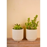 Set of 10 Pinteresty Planters (for the price of 7)