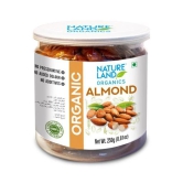 Natureland Organics Dry Fruits Combo - Walnut 150 gm, Cashew 200 gm & Almond 250 gm