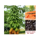 shivam organic seeds Thai Papaya Organic Variety Dwarf Fruit - 50 Seeds + Instruction Manual