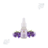 THE SKIN CO. - Lavender Essential Oil 10 mL ( Pack of 1 )