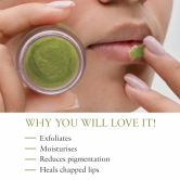 Herb Enriched Lip Scrub 15 g cardamom_scrub