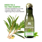 GULBADAN Green Tea & Tea Tree Anti-Dandruff Shampoo Shampoo 200 mL