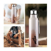 Milton - Brown Water Bottle 630 mL ( Set of 1 ) - Brown