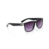 Grey Wayfarer Sunglasses for Men and Women