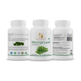 GOLDENACACIA HERRBALS Moring Leaf 90 Capsule 1 no.s