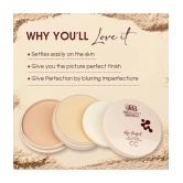 Beauty Berry Age Perfect Oil Control Compact Setting Powder Ivory 20g, Natural Nude (Shade - 04)