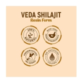 Vedapure Original Shilajit/Shilajeet Resin For Endurance, Bodybuilding and Power & Helps in Energy, Stamina 25 Gram (Pack of 1)