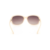 Brown Bug Eye Sunglasses for Women