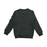 NEUVIN Pack of 1 Boys Fleece Pullover Sweater ( Dark Green ) - None