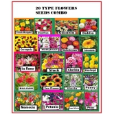 20 different  type flower seed combo pack 300 + seeds  with free  cocopeat and user manual