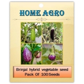 homeagro - Brinjal Vegetable ( 100 Seeds )