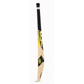 DSC Condor Winger Grade 4 English Willow Cricket Bat: Handcrafted in India with Massive Edges and Treble Spring Handle (Size - 4, Packing - 1 Unit) by Total Sporting And Fitness Solutions Pvt Ltd