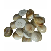 SwadesiBuyzzar - Marble Kowdi (Pack of 10)