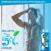 Dettol Body Wash Cool, 250 ml