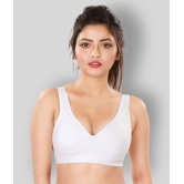 Dermawear White Poly Cotton Solid Sports Bra - 32B