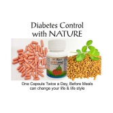 Dr. Thapar's Anti Diabetes METHI Extract 60 Capsule 500 mg