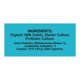 Organic Probiotic Curd 500 Gm