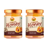 ANP BEE Honey Raw Organic Honey 250 g Pack of 2