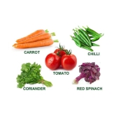 five veg combo (tomato,chiili,carrot,spinach,lady finger) 15 -15 seeds of each 1 oal 75 seeds combo with manual