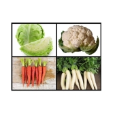 Super Saver Combo of 4 Hybrid Vegetables (Cabbage, Cauliflower, White Radish & Red Carrot) F1 HYBRID