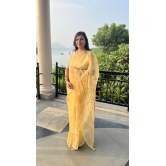 Organza saree