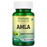 Morpheme Remedies Amla 500 mg - 60 Veg Capsules