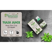 Farm Naturelle- Most Effective Tulsi Juice (400Ml)-The Finest Tulsi Juice-Herbal Basil and Cinnamon Honey 55g x 1