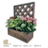 BARISH - Wall Mounted Planter - Single Square | Handcrafted with Rubberwood | Indoor Planter Frame with Stand 18 x 14 x 6 Inches