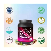 Nutriley Amino Mass Whey Protein ( 500 gm , American Ice Cream - Flavour )