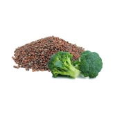 Broccoli hybrid seeds - 50 seed