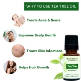 Tea Tree Oil & Virgin Olive Oil - Oily & Acne Prone Skin