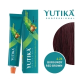 Yuthika Professional Creme Hair Color 4.26 Burgundy Red Brown 100gm Permanent Hair Colour, Professional Salon Hair Colour