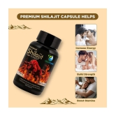 Vedapure Premium Shilajit for Stamina, Power -Men & Women - 60 Cap