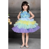 Cutedoll Multicolor Net Flower Baby Girl Dresses-12-18 Month