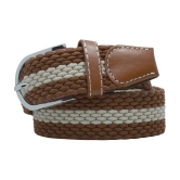 Loopa Brown Nylon Casual Belt Pack of 1 - None