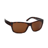 Brown Square Sunglasses for Unisex