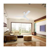 Orpat 1200 BLDC Moneysaver S Ceiling Fan White - White