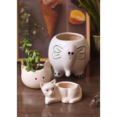 Ele, Cat & Kitty Planters