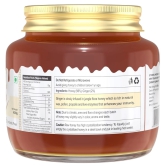 Farm Naturelle-Real Ginger Infused Forest Honey|Ginger Honey 400gm and a Wooden Spoon| 100% Pure, Raw Natural - Un-Processed - Un-Heated Honey |Lab Tested |