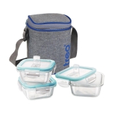 Treo by Milton All Fresh Square Glass Tiffin Containers With Insulated Jacket, 320 ml Each, Grey