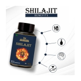 FIJ AYURVEDA Shilajit  Capsule Supports Vigor & Vitality - 500mg 60 Capsules (Pack of 2)