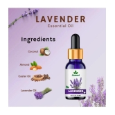 Sonavi Lavender Stress Relief Essential Oil Green With Dropper 60 mL ( Pack of 2 )