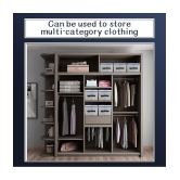 HOMETALES - Closet Organizers ( Pack of 2 )