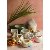 Set of 10 Pinteresty Planters (for the price of 7)