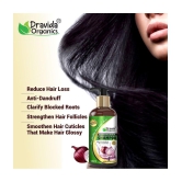 Dravida Organics Red Onion Black Seed Oil Shampoo with Red Onion Seed Oil Extract Shampoo 300 mL