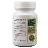 Chirata Veg Capsule | Herbal Supplements